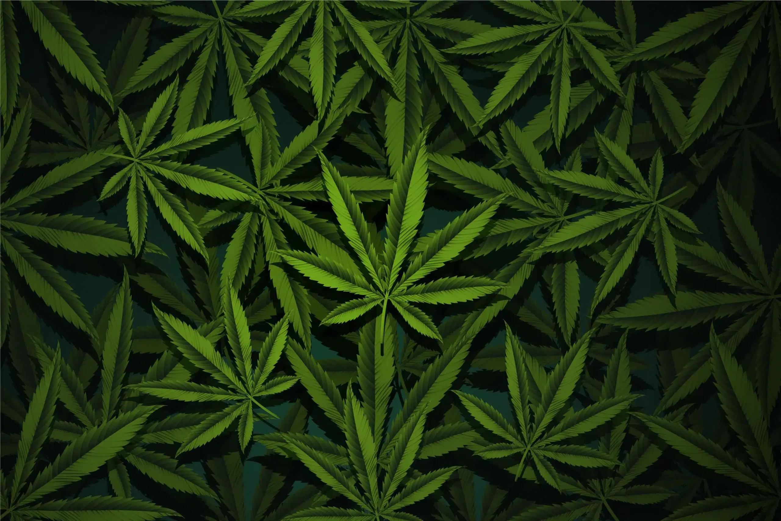 Tips for staying compliant with marijuana laws when traveling
